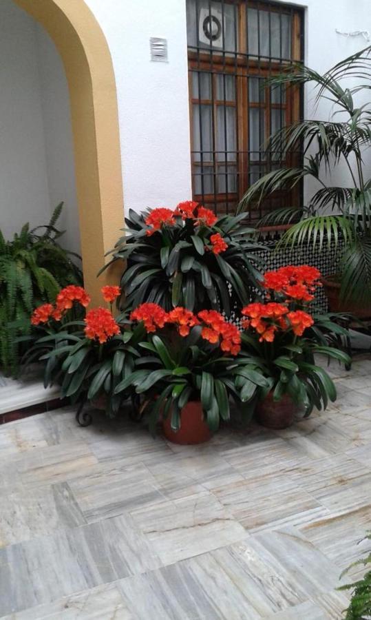 Cordoba Centro Esencia Cordobesa. Mezquita Apartment Екстериор снимка